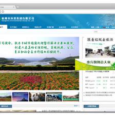 网站建设|网页策划-设计-制作-开发